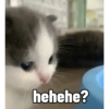 hehehe?