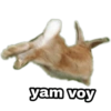 yam voy