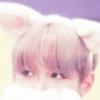 Stray kids soft 27