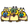 B
wuu