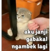 aku janji
gabakal
ngambek lagi