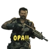Call Of Duty:Brasil🇧🇷 15