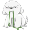 Cute dog 29