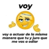 voy
ig:vicky.maryeth
voy a actuar de la misma
manera que tu y juro que
me vas a odiar