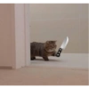 GATOS CURA DEPRESIÓN🙀😎🤠 12