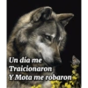 Un día me Traicionaron Y Mota me robaron