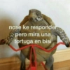 Animales Facheritos 13