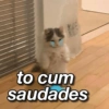 to cum
saudades