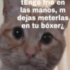 😎🔥 Memes pa' ligar 2 🔥😏🥵 11
