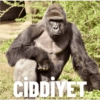 Insta:GORİLCOMİCS 5