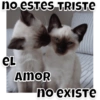 no esTeS TRISTE
eL
AMOR
no existe