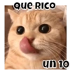 Que RICO
un 10