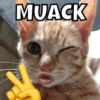 Animalitos 6