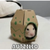 AUTZILIO