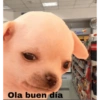 Ola buen día
Cajero