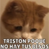 Dilo con Michis pt.6 🐱🤎 3