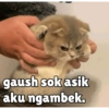 gaush sok asik
aku ngambek.