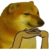 Viral  MEMES 12