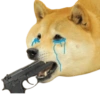 Dogesh & Cheemas 12