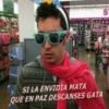 SI LA ENVIDIA MATA QUE EN PAZ DESCANSES GATA S