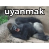 uyanmak