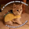 😎🔥 Memes pa' ligar 2 🔥😏🥵 26