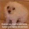 Bueno, ya mucha semana.
Saltemos hasta diciembre