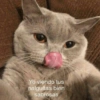 😎🔥 Memes pa' ligar 2 🔥😏🥵 13