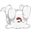 Cute dog 20