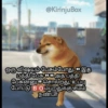 TNB/ IG-TEMPLATESNIBBA 25