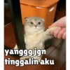 yanggg.jgn
tinggalin aku