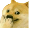Dogesh & Cheemas 10