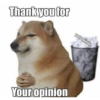 Thank you for
Scheemse
Your opinion
your opinion