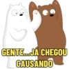 URSOS SEM CURSO 🐻🐻‍❄️🐼 14
