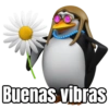 Buenas vibras