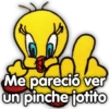 Me pareció ver
un pinche fotito
