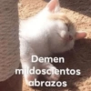 Memestickers Mix 😎🤘 17