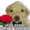 unas Rosas
Para el caballero