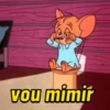 Só jerry 🐭  13
