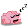 THE neuroSCIENTIST 8
