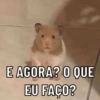 E AGORA? O QUE
EU FAÇO?