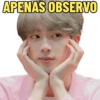 APENAS OBSERVO