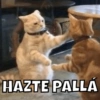 HAZTE PALLÁ