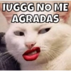 Animalitos 7
