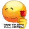 TEN, MI BIDA