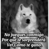 No juegues conmigo, Por qué te sorprenderá Ver Como te gano.