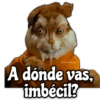 @rose.stickeral A dónde vas, imbécil?