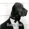🤖Memes Diversos🐺 21