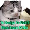 Memes 16