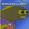SERIUSAN LU BRO?